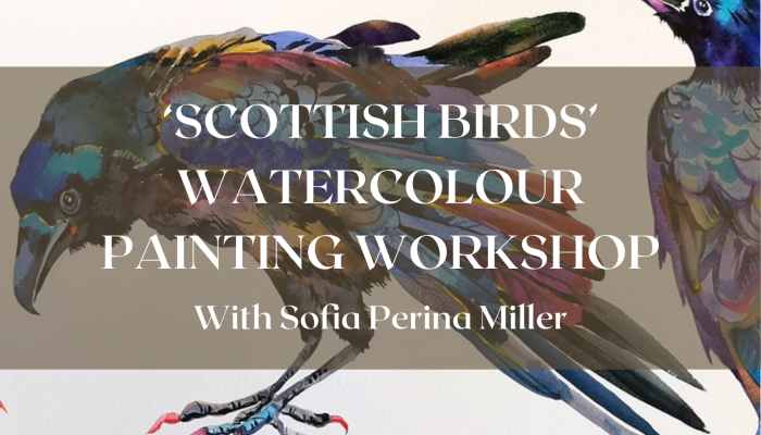 'Scottish Birds' Watercolour Painting Workshop