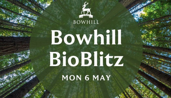 Bowhill BioBlitz