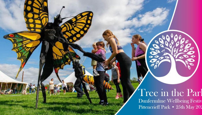 Tree in the Park - Dunfermline Wellbeing Festival
