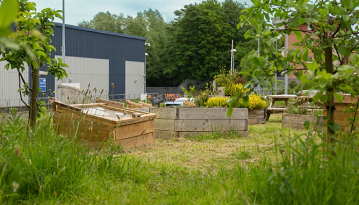 A biodiversity garden with wildflowers at Shields Depot in Glasgow. The depot can be seen in the background behind the flowers and trees.