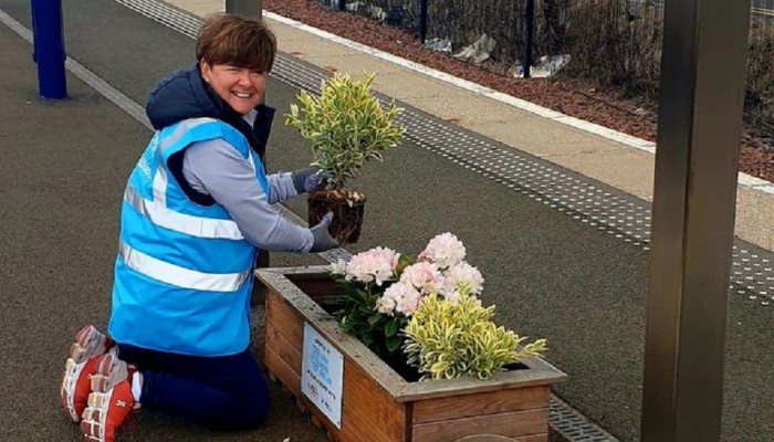 Adopt a Station volunteer plating flowers at Haymarket station