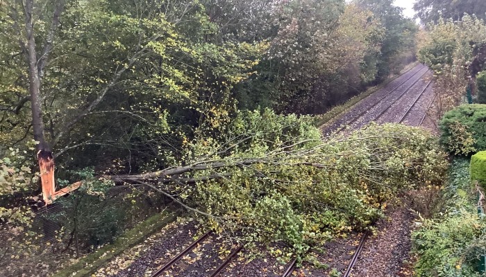 A fallen tree blocking a two track railway line.
