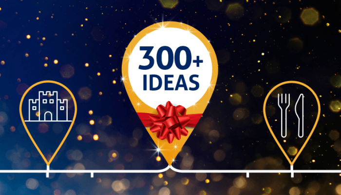 Festive illustration displaying a pin with a bow on it, which reads 300+ ideas