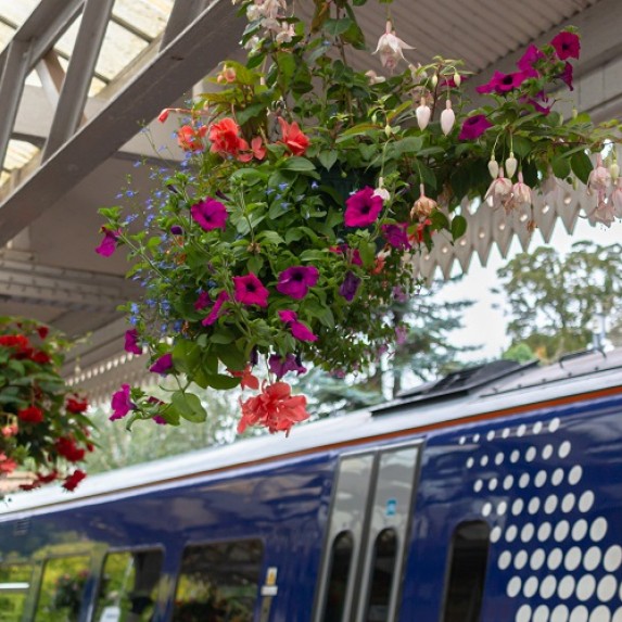 Flower planters at Aberdour station