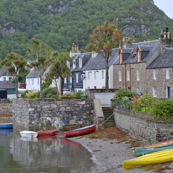 Palm trees and houses by the beach in Plockton