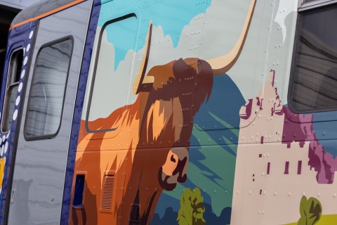 ScotRail Highland Explorer exterior Highland Cow art
