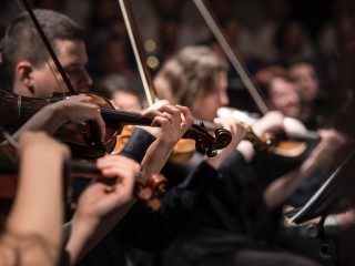 Violinists performing