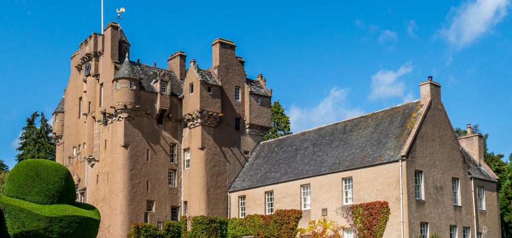 Become a Tree Collector - Family Summer Activities at Crathes Castle