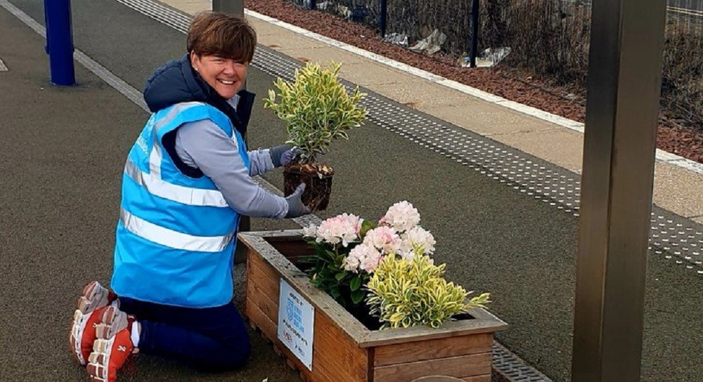 Adopt a Station volunteer planting flowers at Haymarket station